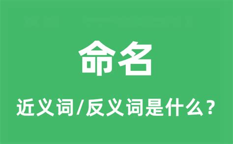 命名意思